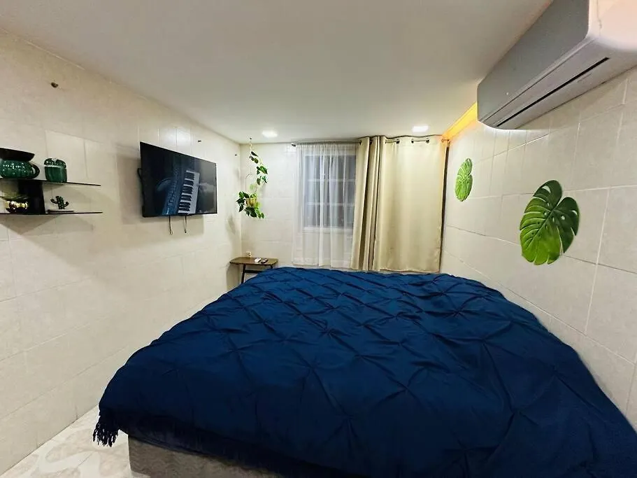 Oasis Sensory Room - Market 28 Cancun