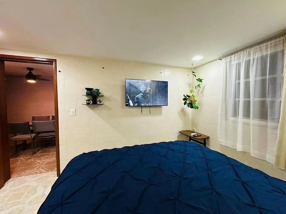 Oasis Sensory Room - Market 28 Cancun Apartment